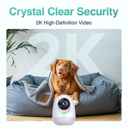 Zevlix  C213 Botslab Indoor Cam 2E Pro-White