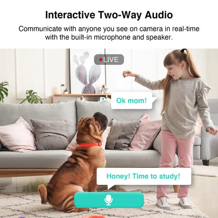 Zevlix  C211 Botslab Indoor Cam 2